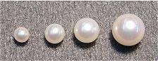Titanium/Niobium Japanese Satlwater Akoya White Round Pearl Earrings