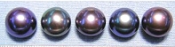 Titanium/Niobium Freshwater Cultured Peacock Potato Pearl Earrings
