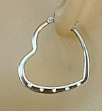 Titanium Niobium Decorative Hoop Earrings